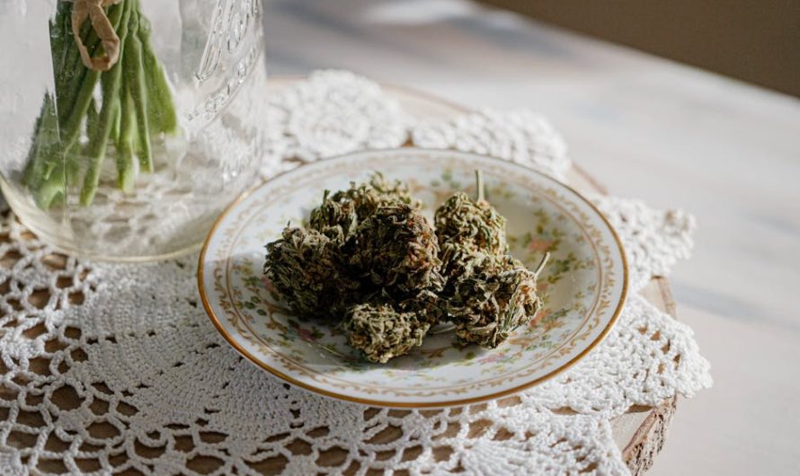 Denmark’s cannabis market is growing rapidly, and our online cannabis delivery service brings the best selection of cannabis, marijuana, hemp, THC, and weed straight to your doorstep.