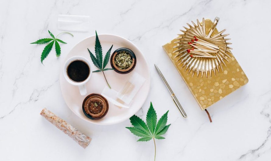 Looking to buy hashish in Galway or explore the broader European cannabis market?