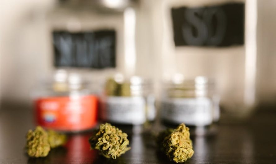 Premier Cannabis Dispensary in Sheffield
