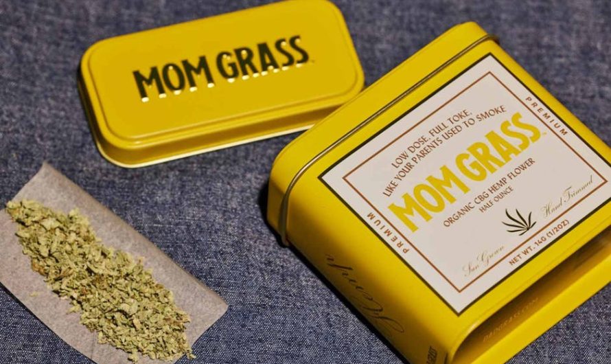 Jurmala Cannabis: The Ultimate Guide to Buying Hashish, CBD, and More