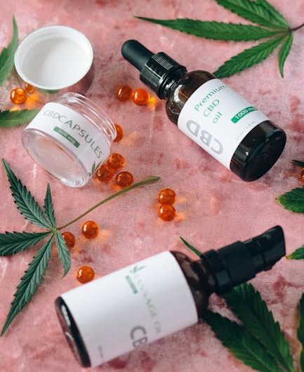 Welcome to the premier cannabis dispensary in Zaragoza
