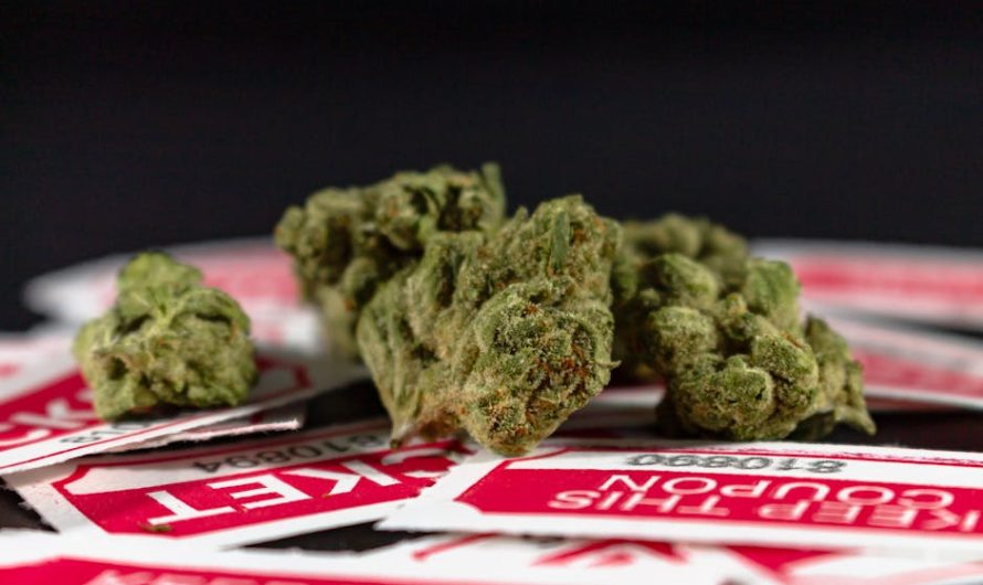 Looking for the best THC vape experience in Cambridge?