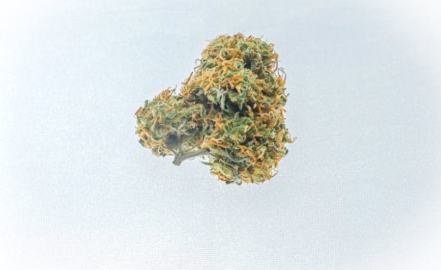 Portugal has become a leading destination for high‑quality THC vapes