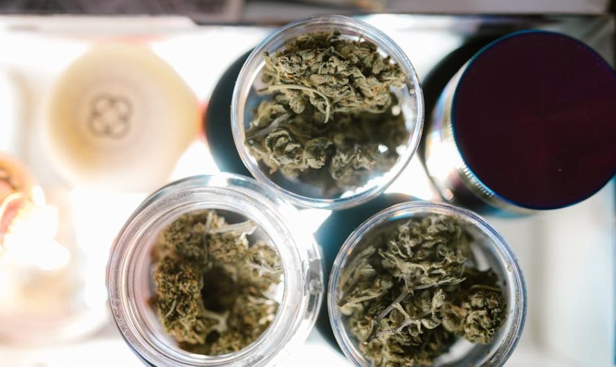 Best THC Shop in Gothenburg