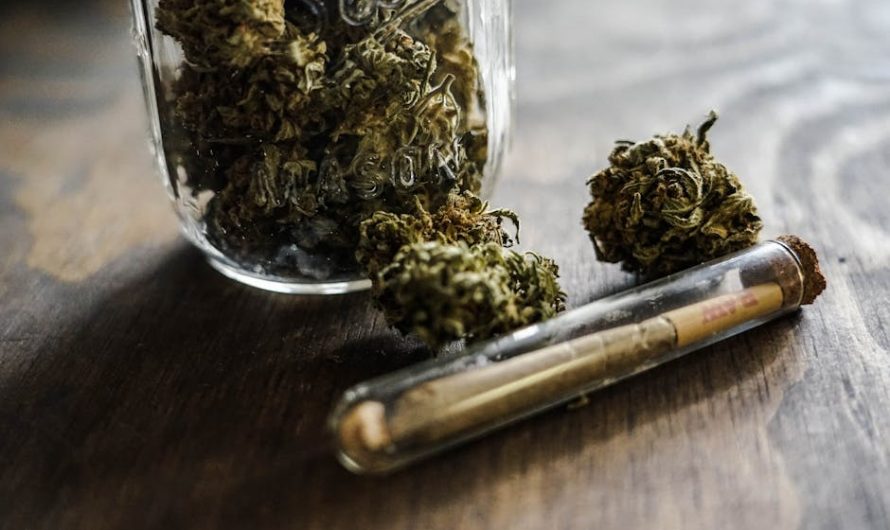 Sintra Cannabis Shop