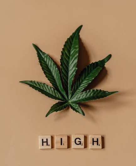 Looking for the best THC vape experience in Siracusa