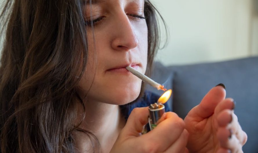 Marbella the jewel of the Costa del Sol is not only famous for its glamorous nightlife pristine beaches and luxury resorts but it is also becoming a hotspot for cannabis enthusiasts