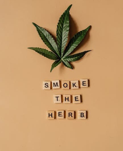 Marseille Cannabis Shop: Your Ultimate Guide to Cannabis Culture in Marseille