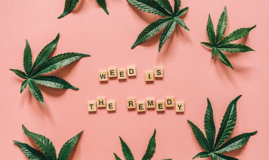 Welcome to the premier marijuana store in Ostrava