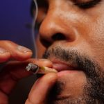Venezia cannabis shop img-1511.jpg