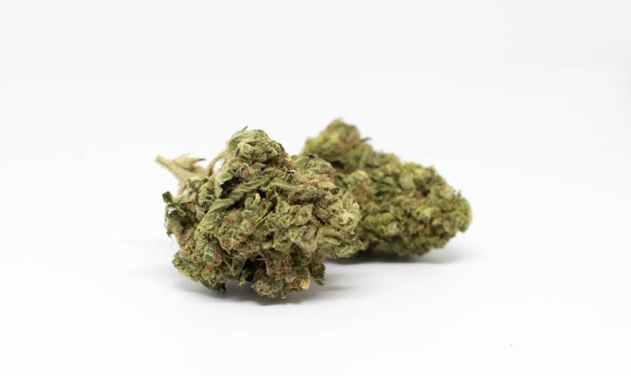 Looking to purchase high‑quality cannabis, weed, or medical marijuana in Liverpool?