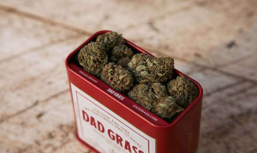 Lublin Cannabis Delivery Service