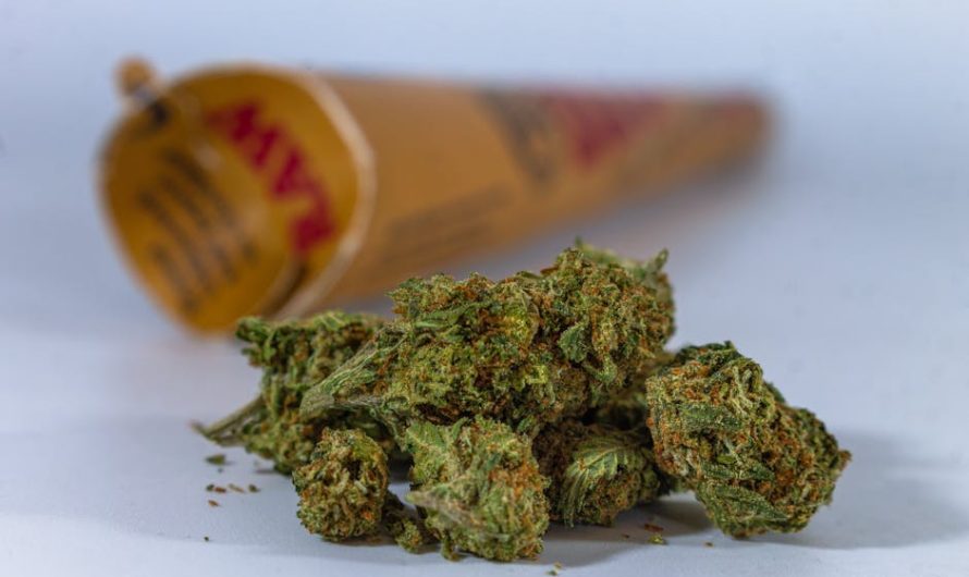 Hashish in Milan: How to Buy Safely