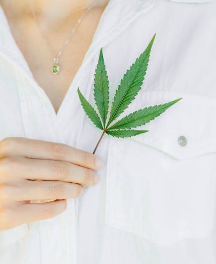 Best Weed Shop in Aarhus