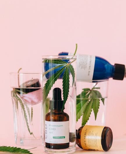 Monaco Cannabis Dispensary