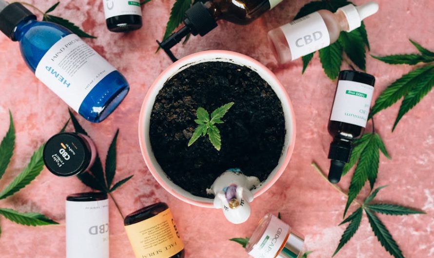 Plzen Cannabis Shop