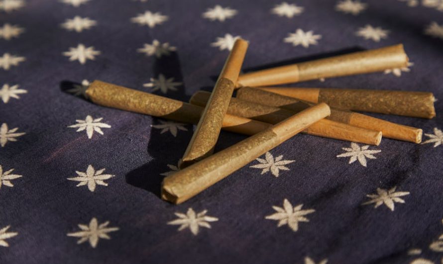 Cannabis Shop Luxembourg: Your Guide to Legal Cannabis, Medical CBD, and Hemp Products