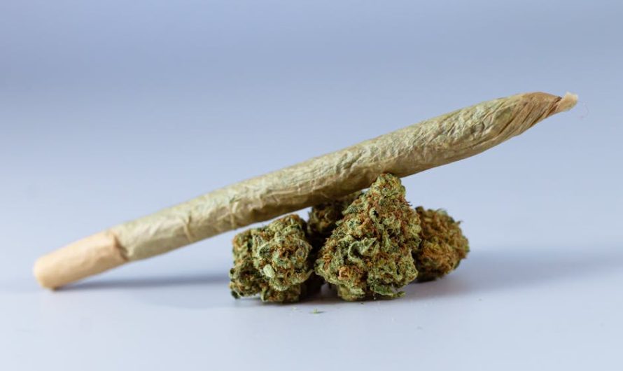 Cardiff Vape Shop: Reliable THC Vape Delivery