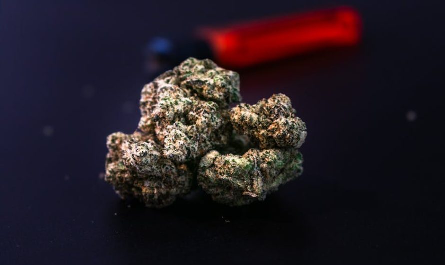 Edinburgh Cannabis Shop