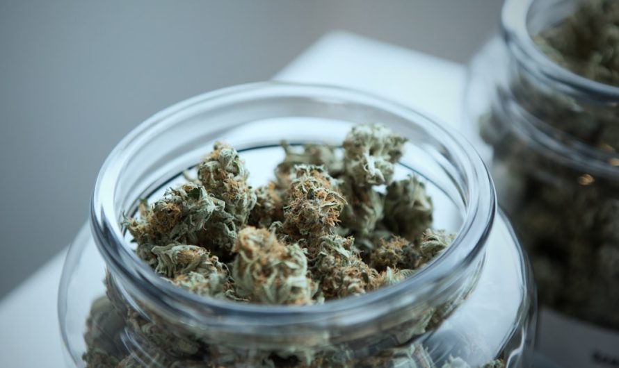 Buy Weed in Leipzig: Your Guide to Legal Cannabis Purchase