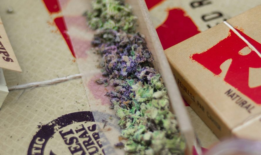 Wroclaw Weed Delivery Service