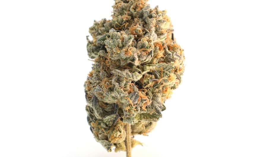 Reliable, Discreet, and Affordable THC Vape Delivery in Catania