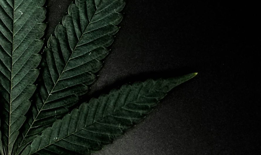 420 Ireland