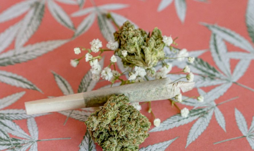 Cannabis Delivery Services in Slovakia: Legal Landscape and Ordering Guide