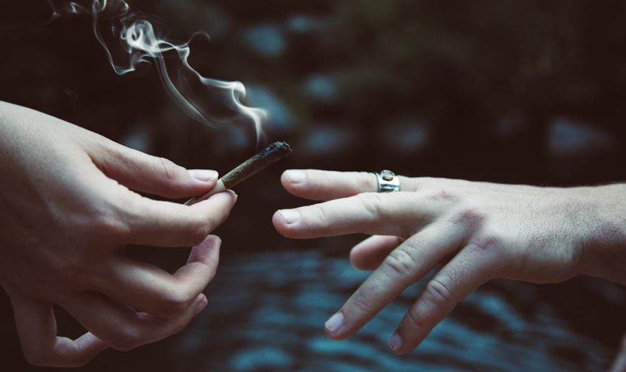 Exploring THC, Cannabis, and Marijuana in Córdoba, Spain