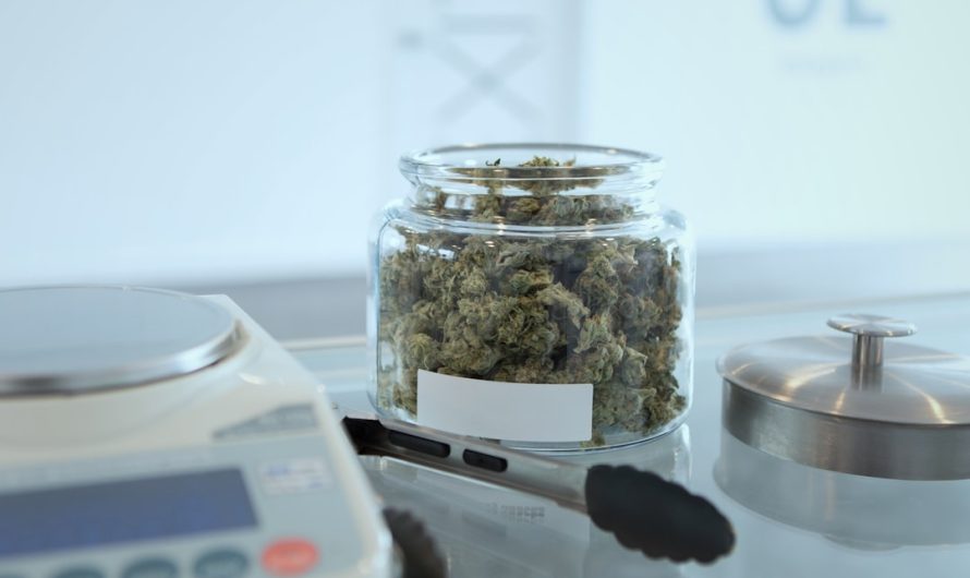 THC Vapes in Bonn: Premium Online Store