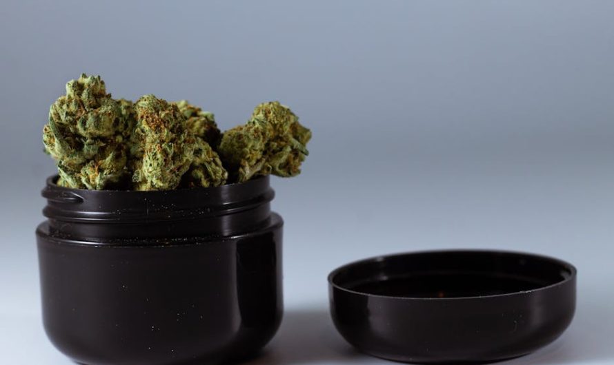 Berlin 420 Culture: Your Guide to the Best Cannabis Shops