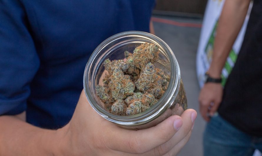Ultimate Guide to the Marijuana Shop Scene in Madrid