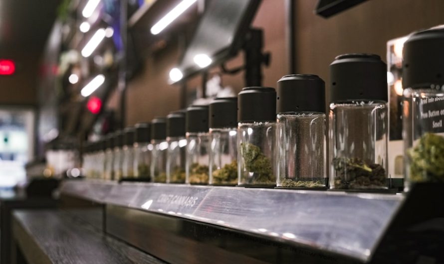 London’s cannabis scene has evolved dramatically over the past decade