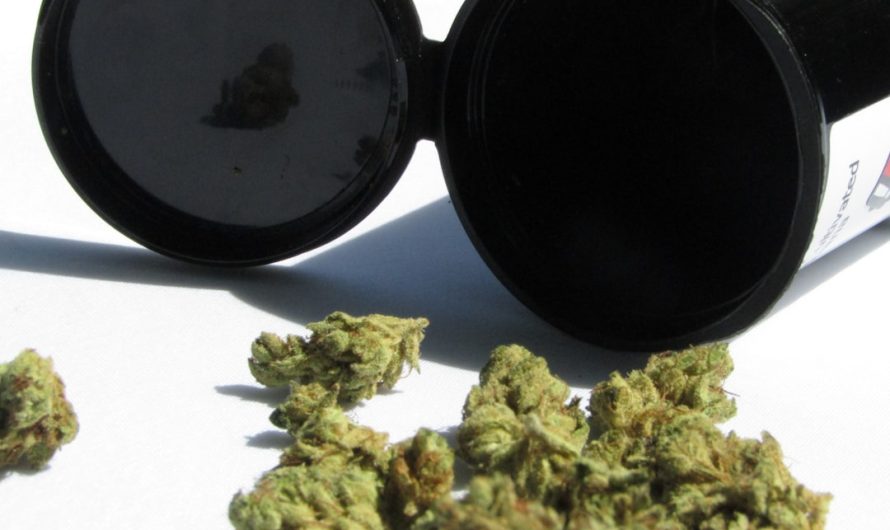 Klaipeda Vape Delivery: Fast, Reliable, and Affordable