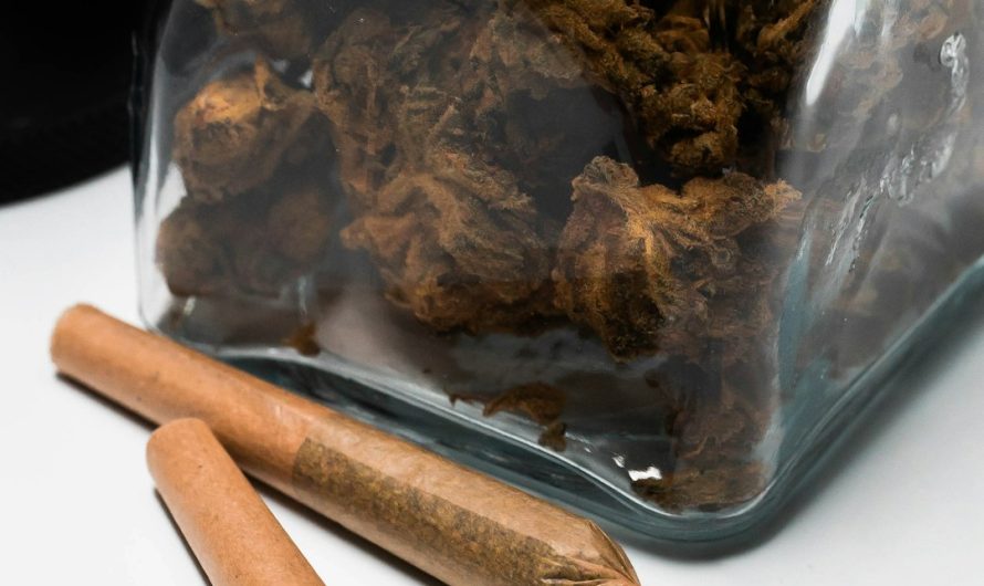 Malaga Cannabis Shop: Premium THC, CBD, and Edibles
