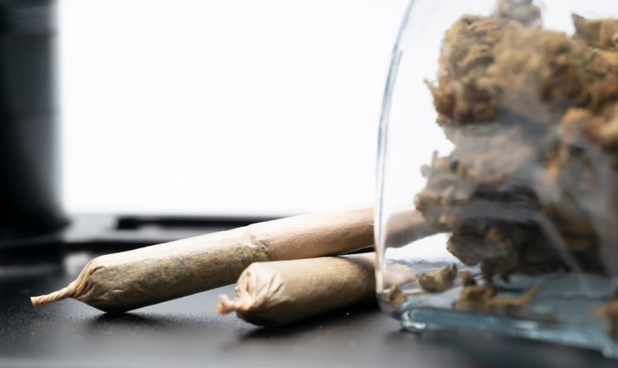 Buying Cannabis, Marijuana, Hemp, THC, and Weed in Szczecin
