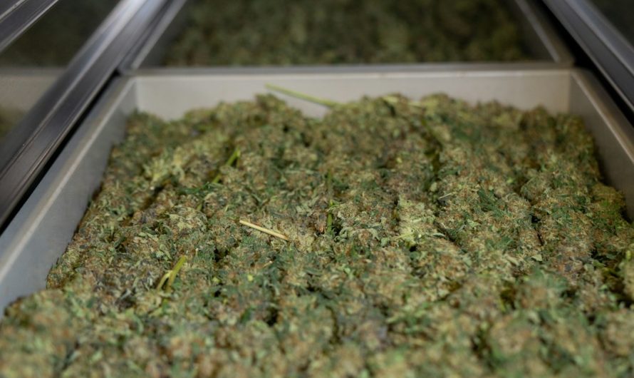 Buying Hashish in Ireland: Legalities, Tips, and Online Purchase Guide
