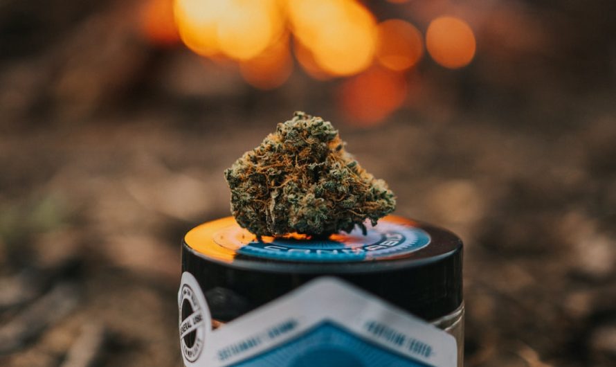 Looking to purchase a THC vape or any other cannabis‑related product in Italy?