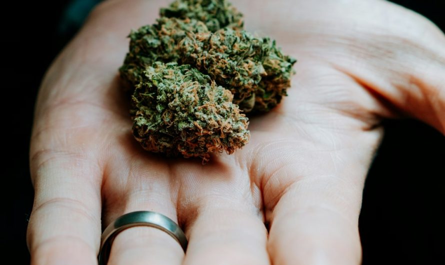 Monaco Cannabis Delivery: Premium Online Weed Delivery