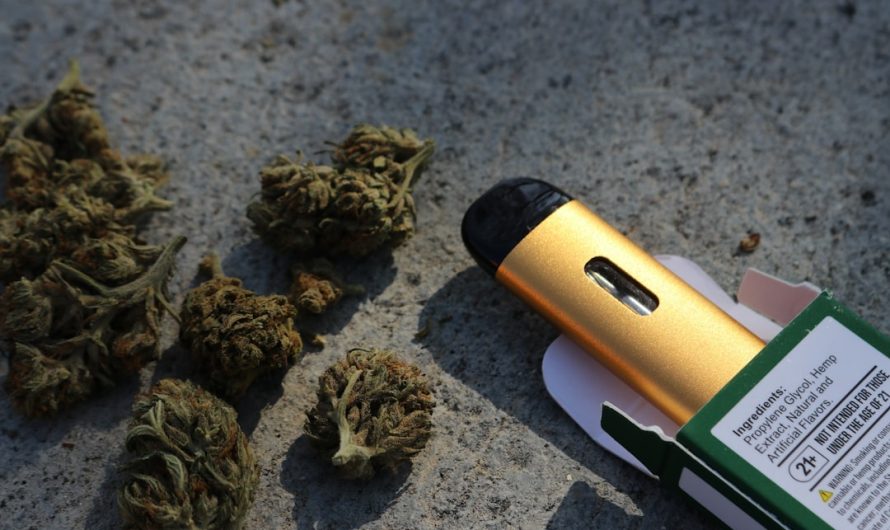 Italian Cannabis Laws & Regulations: A Guide to Buying Cannabis Online