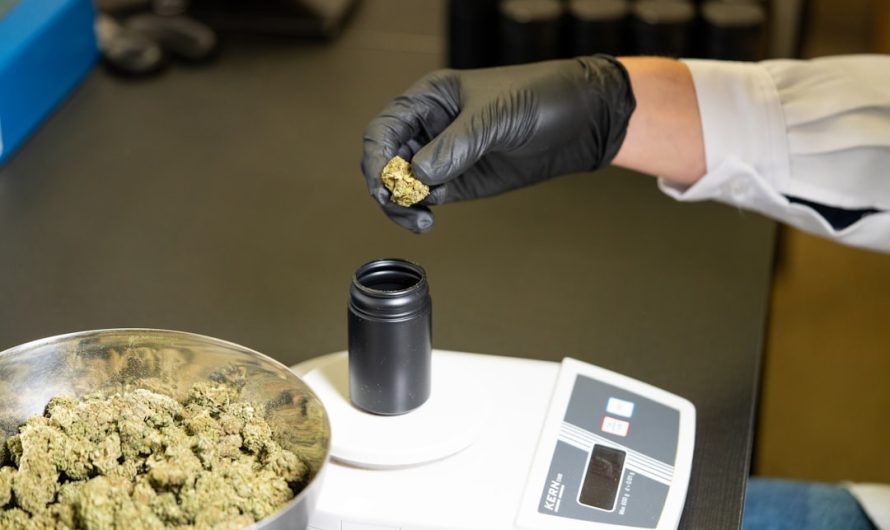 Looking to purchase a high‑quality THC vape in Madeira?