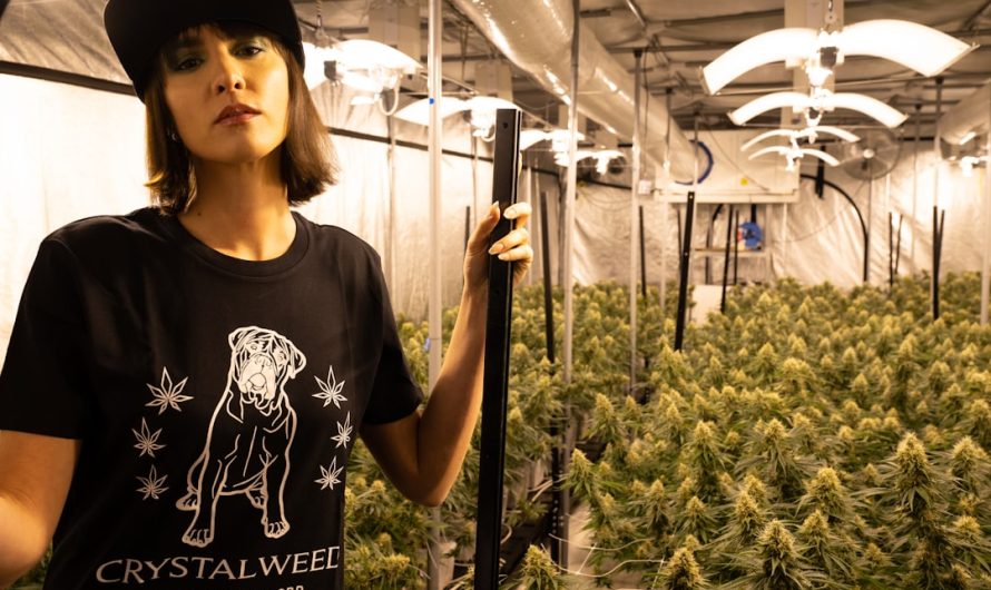 Looking for a reliable Dortmund cannabis store that offers a wide range of high‑quality products, competitive prices, and hassle‑free delivery?