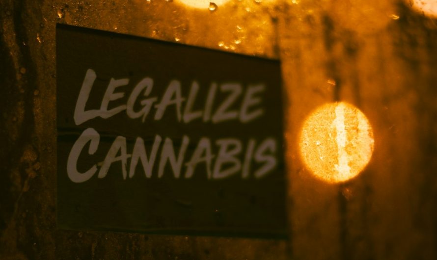 420 store in Varna