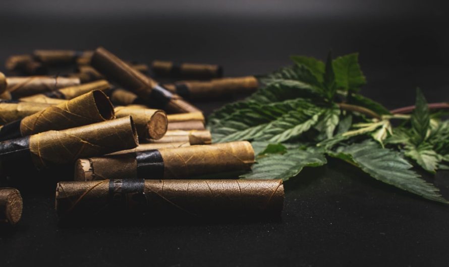 Portugal has become one of Europe’s most welcoming destinations for cannabis enthusiasts