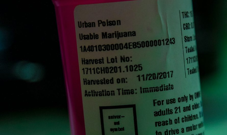Milan Cannabis Scene The New Hub for 420 Culture