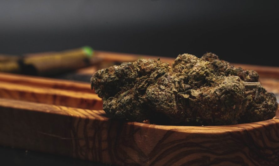 Welcome to the premier online 420 shop in Germany where quality, affordability, and compliance meet