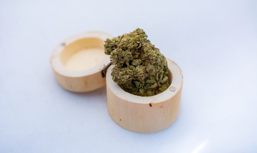 Bydgoszcz Weed Shop: Reliable, Affordable, and Fast Delivery of High‑Quality Cannabis