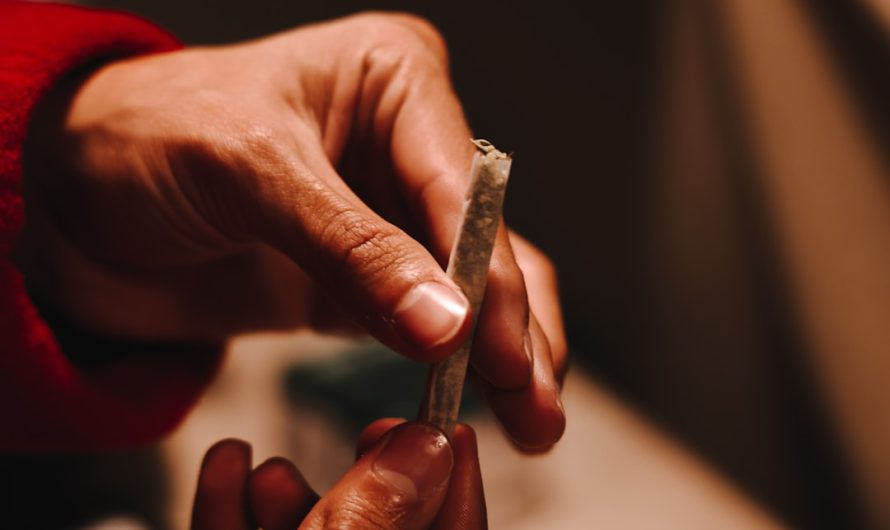 Venice 420 Shop – Your Ultimate Cannabis Destination