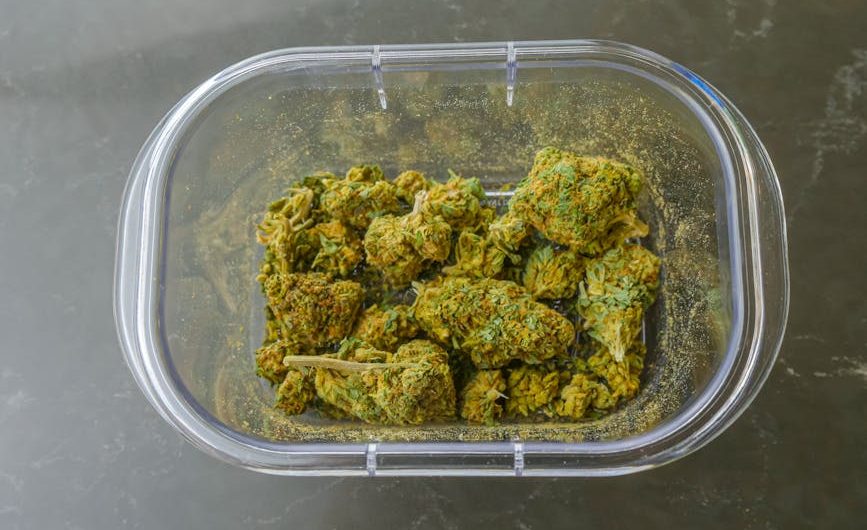 EU Cannabis Regulations