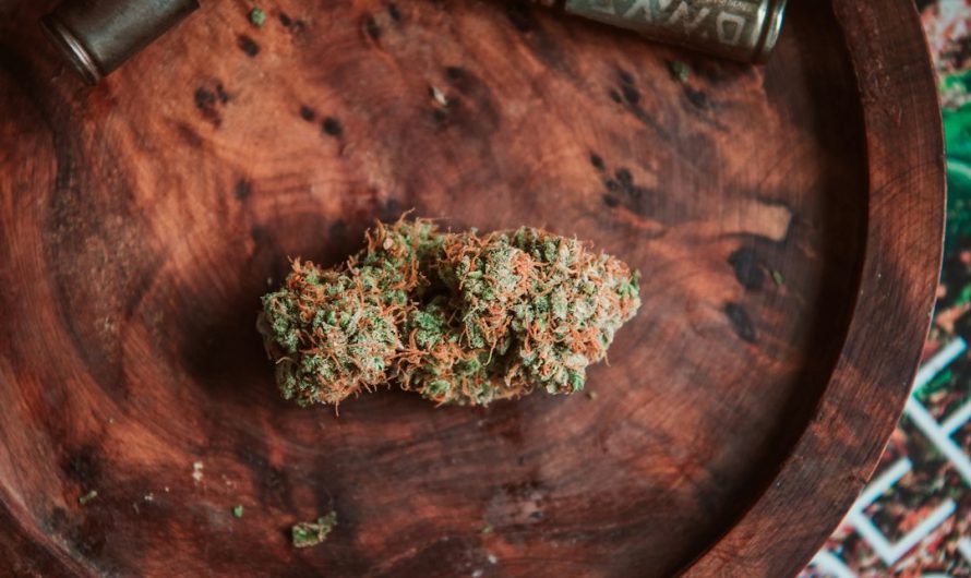 Spain’s Cannabis Market 2024: A Guide to Shops, Products, and Tourism